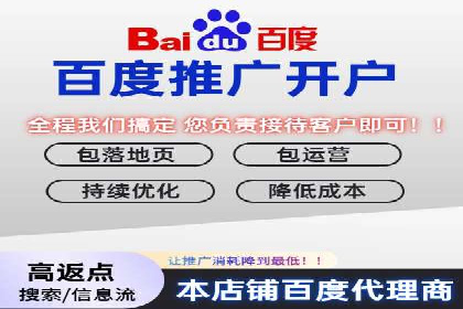 百度竞价代运营的长期效益与价值探讨